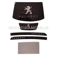 داشمت پژو 207